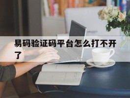 易码验证码平台怎么打不开了