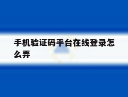 手机验证码平台在线登录怎么弄
