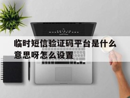 临时短信验证码平台是什么意思呀怎么设置