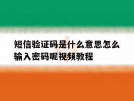 短信验证码是什么意思怎么输入密码呢视频教程的简单介绍