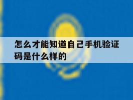 怎么才能知道自己手机验证码是什么样的