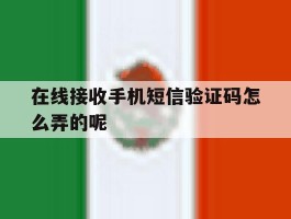在线接收手机短信验证码怎么弄的呢