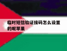临时短信验证接码怎么设置的呢苹果