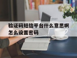 验证码短信平台什么意思啊怎么设置密码