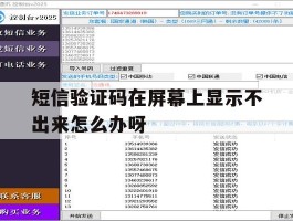 短信验证码在屏幕上显示不出来怎么办呀