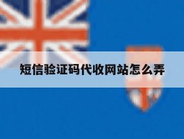 短信验证码代收网站怎么弄