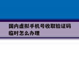 国内虚拟手机号收取验证码临时怎么办理