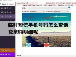 临时短信手机号码怎么查话费余额明细呢的简单介绍