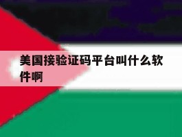 美国接验证码平台叫什么软件啊