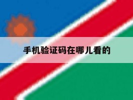 手机验证码在哪儿看的