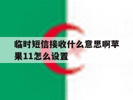临时短信接收什么意思啊苹果11怎么设置