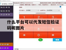 什么平台可以代发短信验证码呢图片