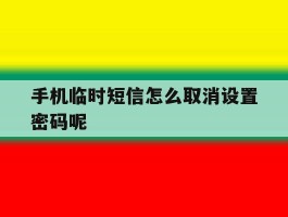 手机临时短信怎么取消设置密码呢