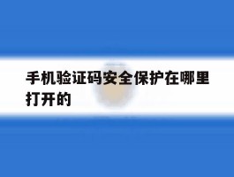 手机验证码安全保护在哪里打开的