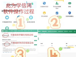 手机验证码官网登录入口网址是什么