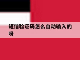 短信验证码怎么自动输入的呀