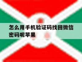 怎么用手机验证码找回微信密码呢苹果的简单介绍