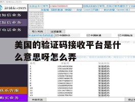 美国的验证码接收平台是什么意思呀怎么弄
