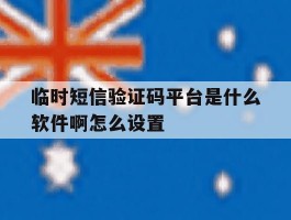 临时短信验证码平台是什么软件啊怎么设置