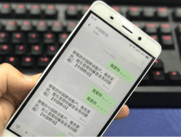 临时手机号接码平台查询