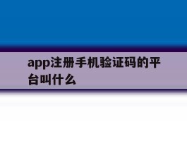 app注册手机验证码的平台叫什么
