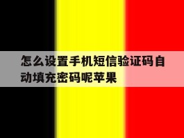 怎么设置手机短信验证码自动填充密码呢苹果的简单介绍