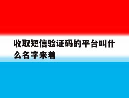 收取短信验证码的平台叫什么名字来着