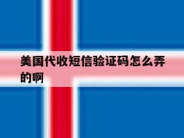 美国代收短信验证码怎么弄的啊