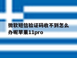 微软短信验证码收不到怎么办呢苹果11pro的简单介绍