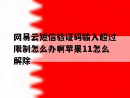 网易云短信验证码输入超过限制怎么办啊苹果11怎么解除的简单介绍