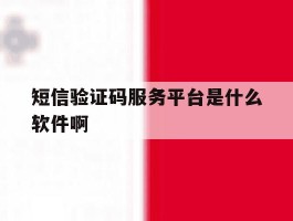 短信验证码服务平台是什么软件啊