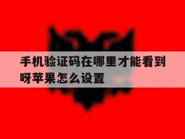 手机验证码在哪里才能看到呀苹果怎么设置