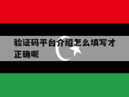验证码平台介绍怎么填写才正确呢