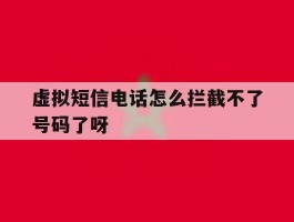 虚拟短信电话怎么拦截不了号码了呀