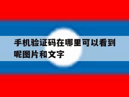 包含手机验证码在哪里可以看到呢图片和文字的词条