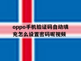 oppo手机验证码自动填充怎么设置密码呢视频