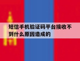 短信手机验证码平台接收不到什么原因造成的