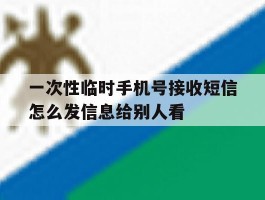 关于一次性临时手机号接收短信怎么发信息给别人看的信息