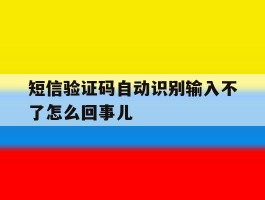 关于短信验证码自动识别输入不了怎么回事儿的信息