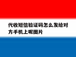 关于代收短信验证码怎么发给对方手机上呢图片的信息
