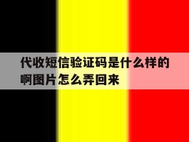代收短信验证码是什么样的啊图片怎么弄回来