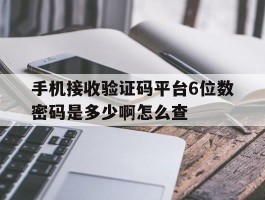 手机接收验证码平台6位数密码是多少啊怎么查