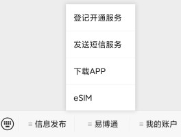 虚拟短信发送消息怎么设置时间
