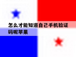 怎么才能知道自己手机验证码呢苹果