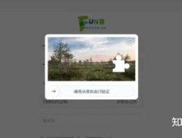 包含代收验证码平台安全吗可信吗知乎文章是真的吗的词条