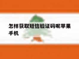 怎样获取短信验证码呢苹果手机的简单介绍