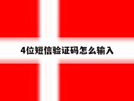 4位短信验证码怎么输入