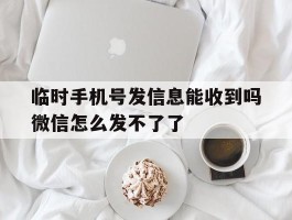 临时手机号发信息能收到吗微信怎么发不了了