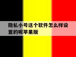 隐私小号这个软件怎么样设置的呢苹果版的简单介绍