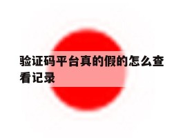 验证码平台真的假的怎么查看记录